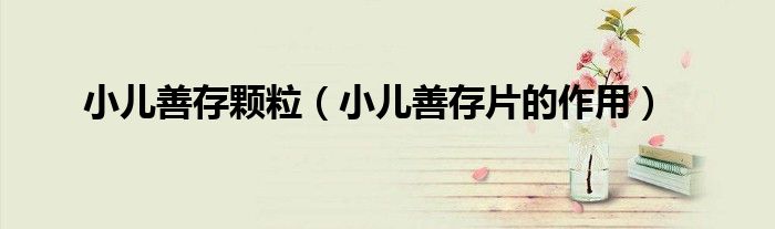 小兒善存顆粒（小兒善存片的作用）