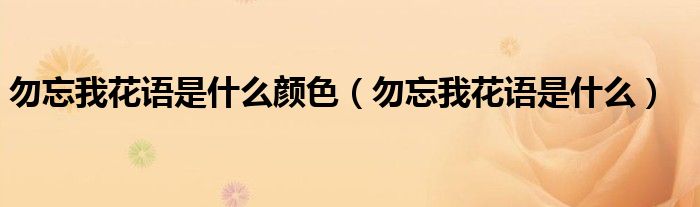 勿忘我花語是什么顏色（勿忘我花語是什么）