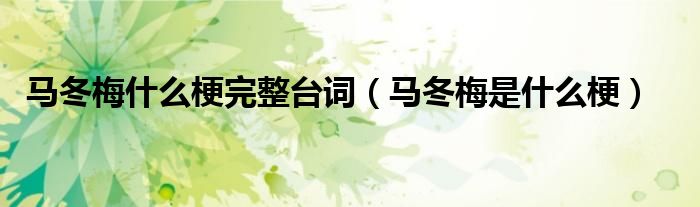 馬冬梅什么梗完整臺(tái)詞（馬冬梅是什么梗）