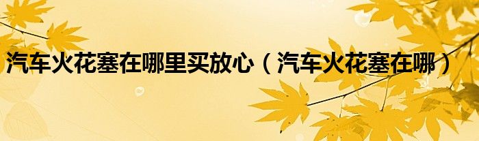汽車火花塞在哪里買放心（汽車火花塞在哪）