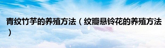 青紋竹芋的養(yǎng)殖方法（紋瓣懸鈴花的養(yǎng)殖方法）