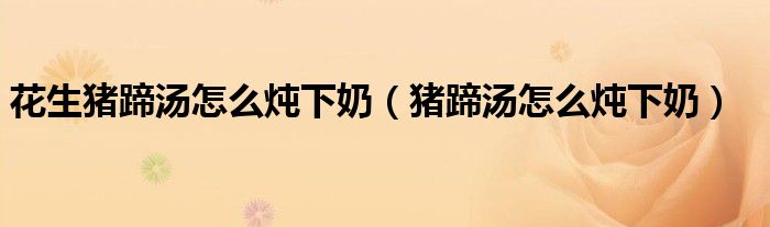 花生豬蹄湯怎么燉下奶（豬蹄湯怎么燉下奶）