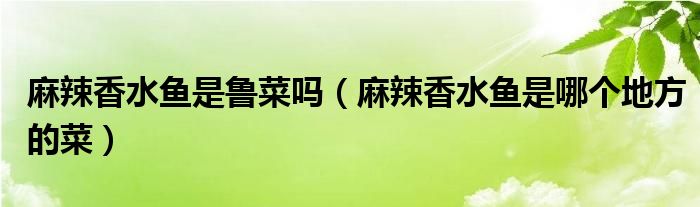 麻辣香水魚是魯菜嗎（麻辣香水魚是哪個(gè)地方的菜）