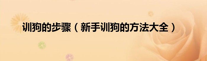 訓(xùn)狗的步驟（新手訓(xùn)狗的方法大全）