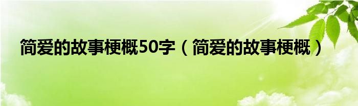 簡(jiǎn)愛(ài)的故事梗概50字（簡(jiǎn)愛(ài)的故事梗概）