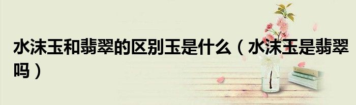 水沫玉和翡翠的區(qū)別玉是什么（水沫玉是翡翠嗎）