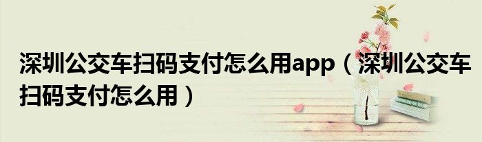 深圳公交車掃碼支付怎么用app（深圳公交車掃碼支付怎么用）