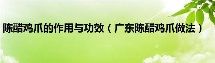 陳醋雞爪的作用與功效（廣東陳醋雞爪做法）