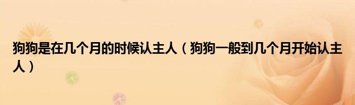 狗狗是在幾個(gè)月的時(shí)候認(rèn)主人（狗狗一般到幾個(gè)月開始認(rèn)主人）