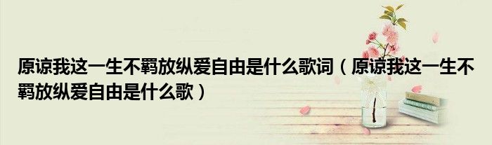 原諒我這一生不羈放縱愛自由是什么歌詞（原諒我這一生不羈放縱愛自由是什么歌）