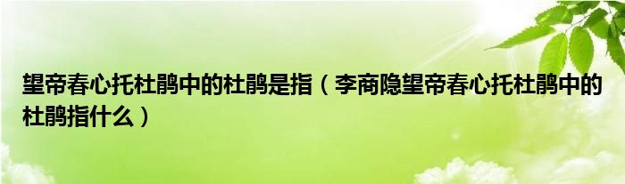 望帝春心托杜鵑中的杜鵑是指（李商隱望帝春心托杜鵑中的杜鵑指什么）