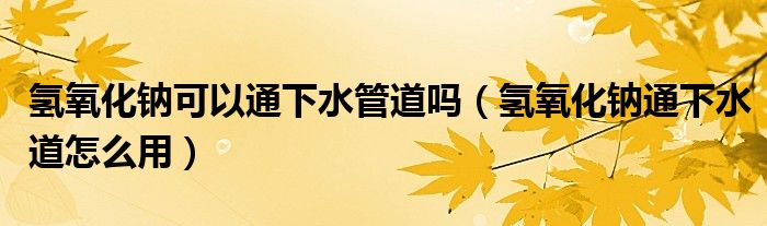 氫氧化鈉可以通下水管道嗎（氫氧化鈉通下水道怎么用）