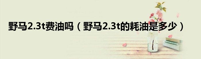 野馬2.3t費(fèi)油嗎（野馬2.3t的耗油是多少）