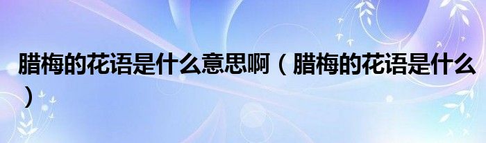臘梅的花語是什么意思?。ㄅD梅的花語是什么）