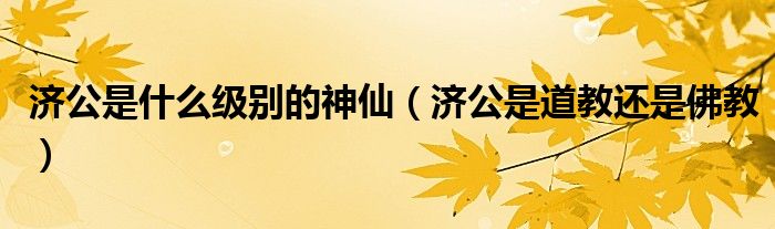 濟(jì)公是什么級(jí)別的神仙（濟(jì)公是道教還是佛教）