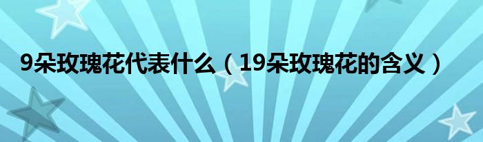 9朵玫瑰花代表什么（19朵玫瑰花的含義）