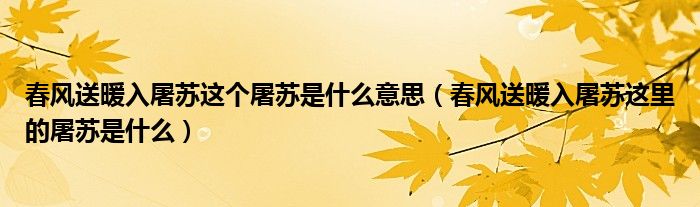 春風(fēng)送暖入屠蘇這個屠蘇是什么意思（春風(fēng)送暖入屠蘇這里的屠蘇是什么）