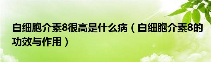 白細(xì)胞介素8很高是什么病（白細(xì)胞介素8的功效與作用）