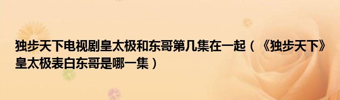 獨(dú)步天下電視劇皇太極和東哥第幾集在一起（《獨(dú)步天下》皇太極表白東哥是哪一集）