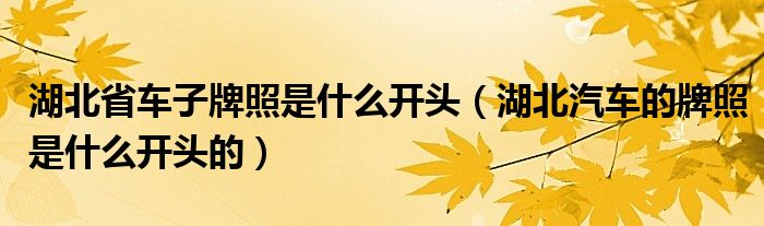 湖北省車子牌照是什么開頭（湖北汽車的牌照是什么開頭的）