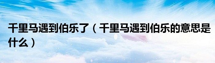 千里馬遇到伯樂了（千里馬遇到伯樂的意思是什么）