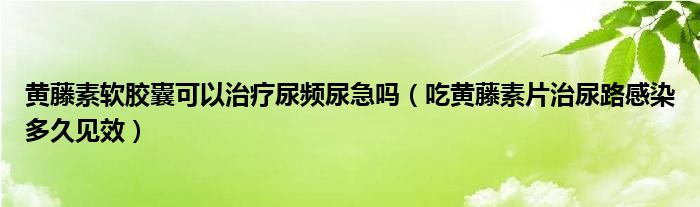 黃藤素軟膠囊可以治療尿頻尿急嗎（吃黃藤素片治尿路感染多久見效）