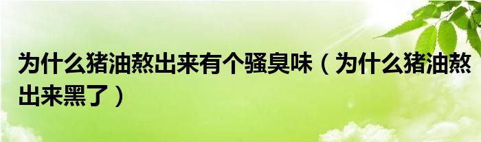 為什么豬油熬出來有個騷臭味（為什么豬油熬出來黑了）