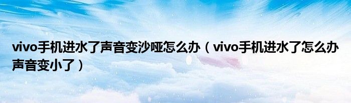 vivo手機(jī)進(jìn)水了聲音變沙啞怎么辦（vivo手機(jī)進(jìn)水了怎么辦聲音變小了）