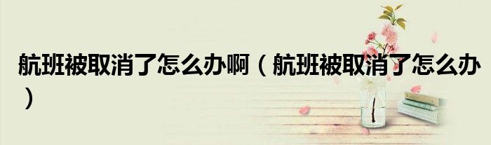 航班被取消了怎么辦啊（航班被取消了怎么辦）