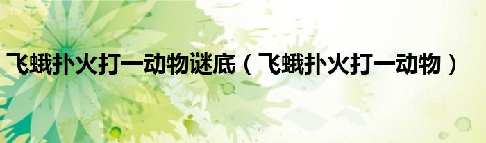 飛蛾撲火打一動物謎底（飛蛾撲火打一動物）