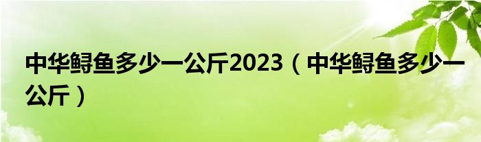 中華鱘魚多少一公斤2023（中華鱘魚多少一公斤）