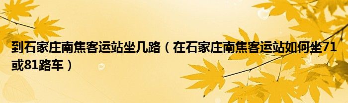 到石家莊南焦客運站坐幾路（在石家莊南焦客運站如何坐71或81路車）