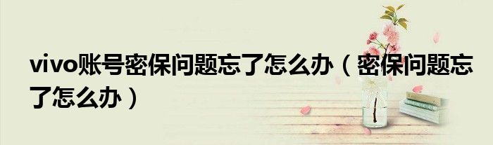 vivo賬號密保問題忘了怎么辦（密保問題忘了怎么辦）