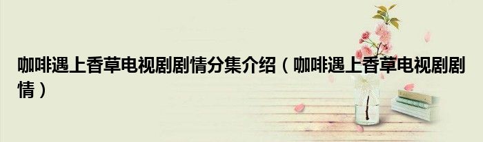 咖啡遇上香草電視劇劇情分集介紹（咖啡遇上香草電視劇劇情）