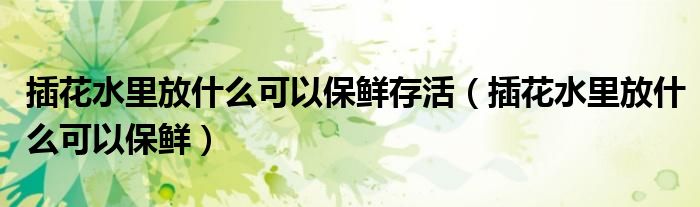 插花水里放什么可以保鮮存活（插花水里放什么可以保鮮）