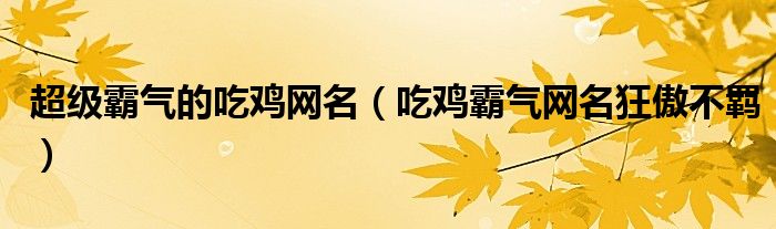 超級(jí)霸氣的吃雞網(wǎng)名（吃雞霸氣網(wǎng)名狂傲不羈）