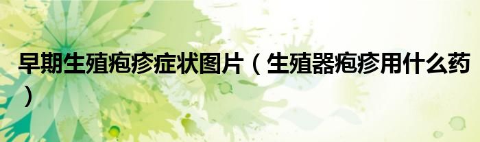 早期生殖皰疹癥狀圖片（生殖器皰疹用什么藥）