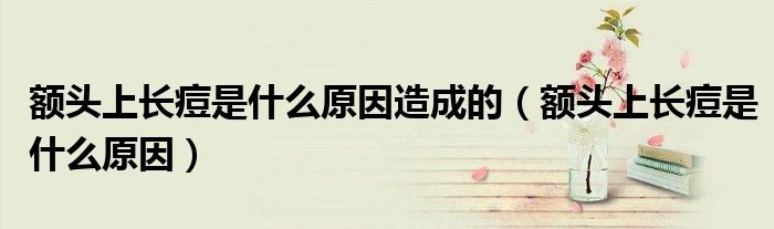 額頭上長痘是什么原因造成的（額頭上長痘是什么原因）