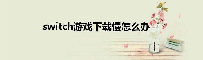 switch游戲下載慢怎么辦