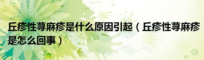 丘疹性蕁麻疹是什么原因引起（丘疹性蕁麻疹是怎么回事）