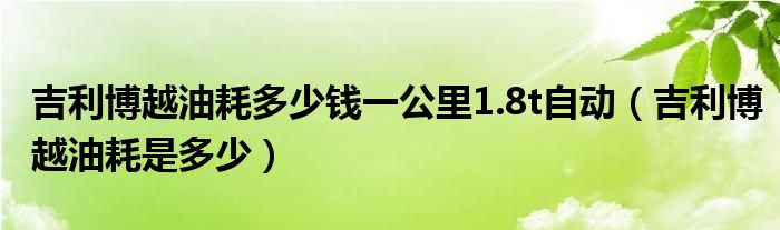 吉利博越油耗多少錢一公里1.8t自動（吉利博越油耗是多少）
