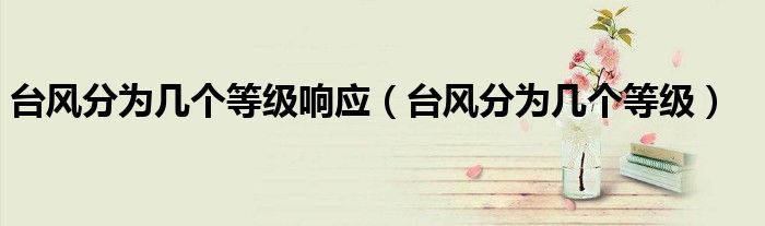 臺風(fēng)分為幾個等級響應(yīng)（臺風(fēng)分為幾個等級）