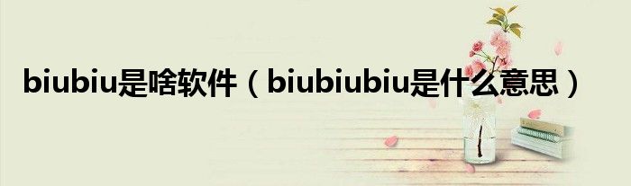 biubiu是啥軟件（biubiubiu是什么意思）