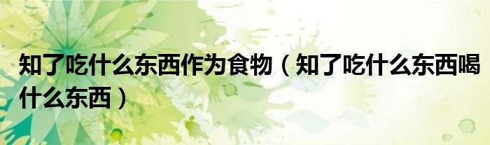 知了吃什么東西作為食物（知了吃什么東西喝什么東西）