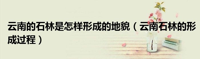 云南的石林是怎樣形成的地貌（云南石林的形成過(guò)程）