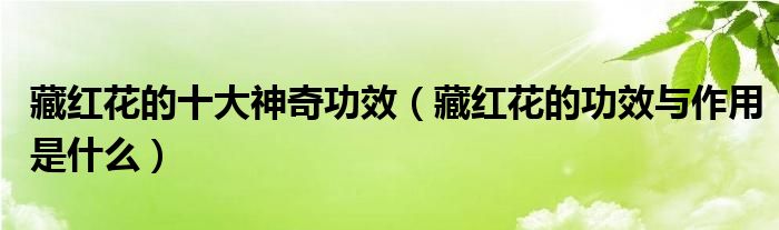 藏紅花的十大神奇功效（藏紅花的功效與作用是什么）