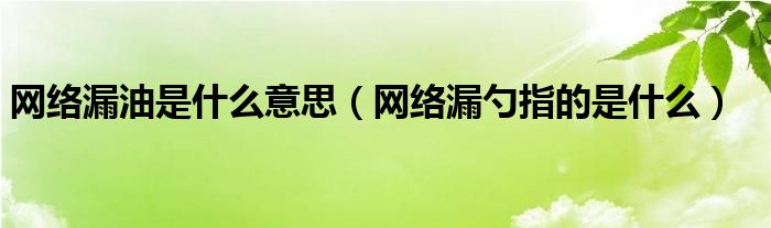 網(wǎng)絡(luò)漏油是什么意思（網(wǎng)絡(luò)漏勺指的是什么）