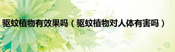 驅(qū)蚊植物有效果嗎（驅(qū)蚊植物對(duì)人體有害嗎）
