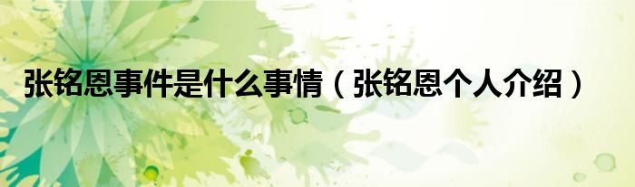張銘恩事件是什么事情（張銘恩個人介紹）