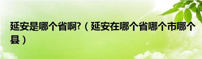 延安是哪個(gè)省啊?（延安在哪個(gè)省哪個(gè)市哪個(gè)縣）